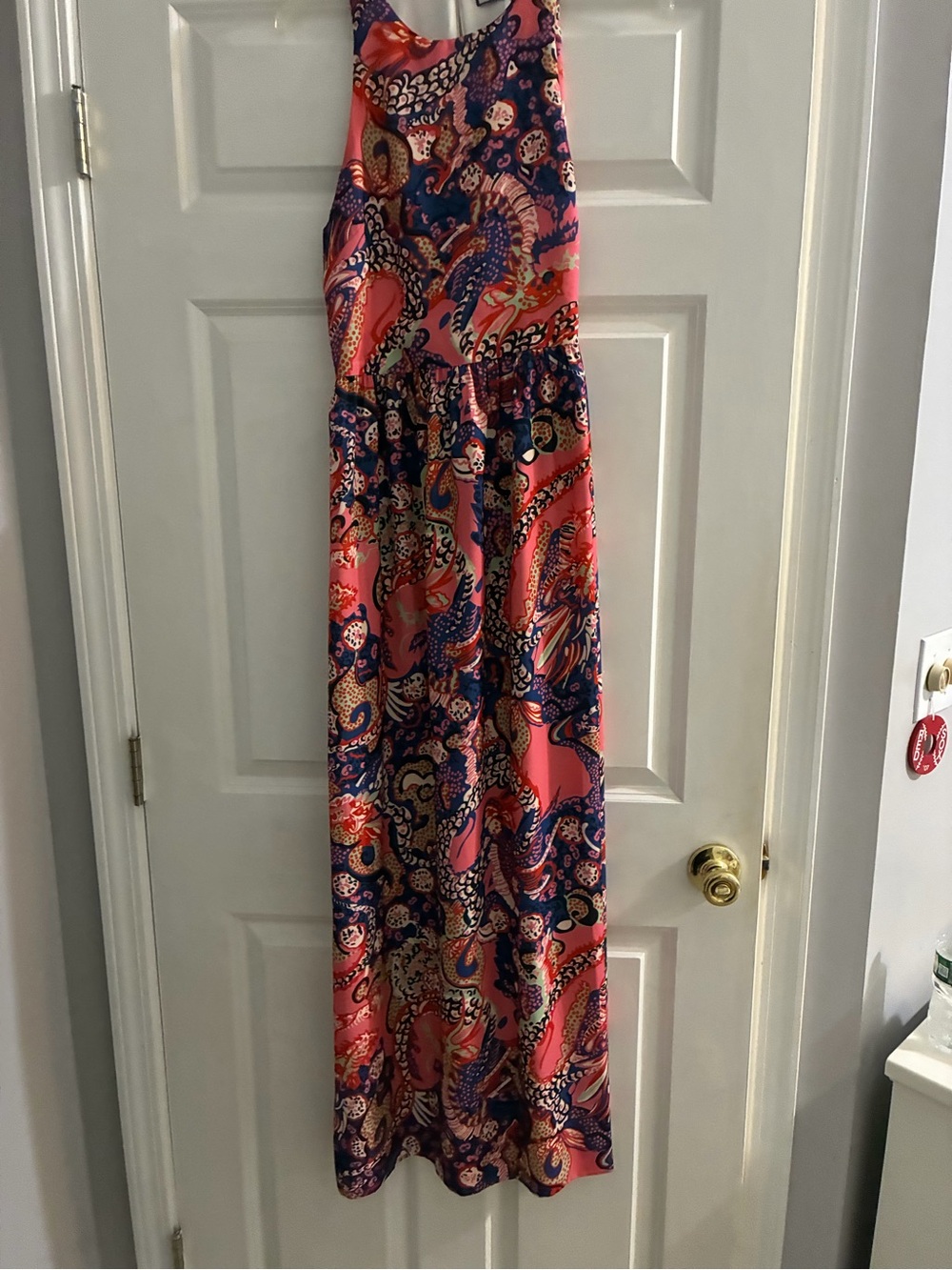 Sleeveless Paisley Maxi Dress in Pink and Navy